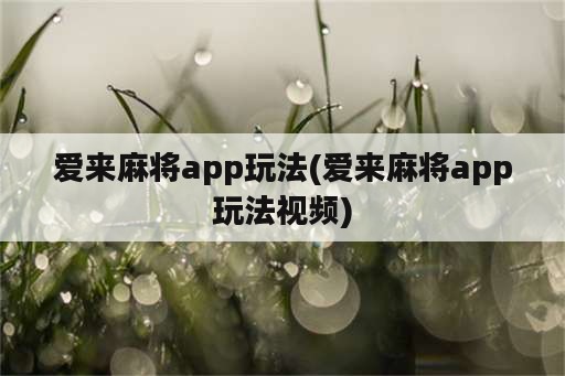 爱来麻将app玩法(爱来麻将app玩法视频)