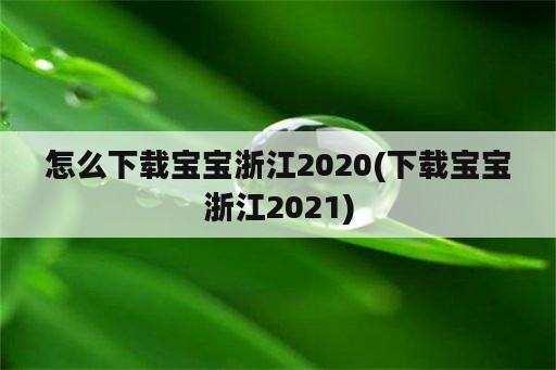 怎么下载宝宝浙江2020(下载宝宝浙江2021)