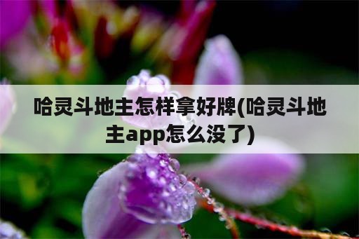 哈灵斗地主怎样拿好牌(哈灵斗地主app怎么没了)