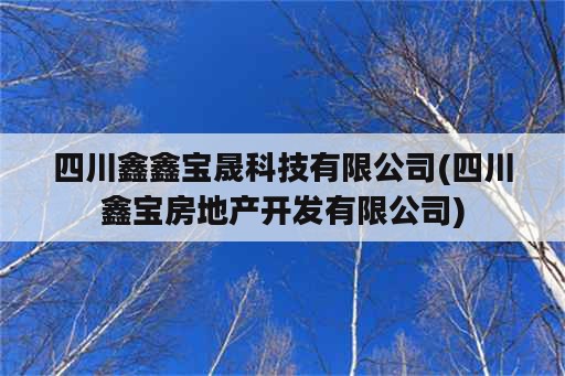 四川鑫鑫宝晟科技有限公司(四川鑫宝房地产开发有限公司)