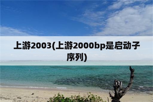 上游2003(上游2000bp是启动子序列)