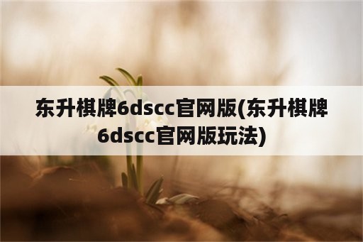 东升棋牌6dscc官网版(东升棋牌6dscc官网版玩法)