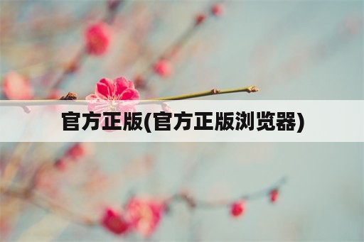 官方正版(官方正版浏览器)