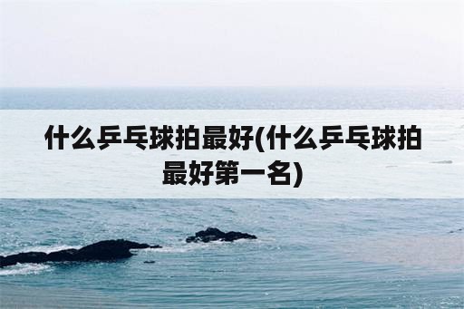 什么乒乓球拍最好(什么乒乓球拍最好第一名)