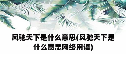 风驰天下是什么意思(风驰天下是什么意思网络用语)