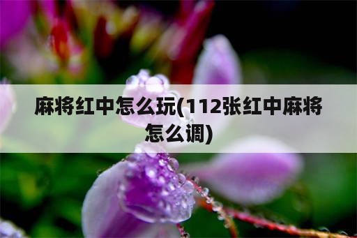 麻将红中怎么玩(112张红中麻将怎么调)