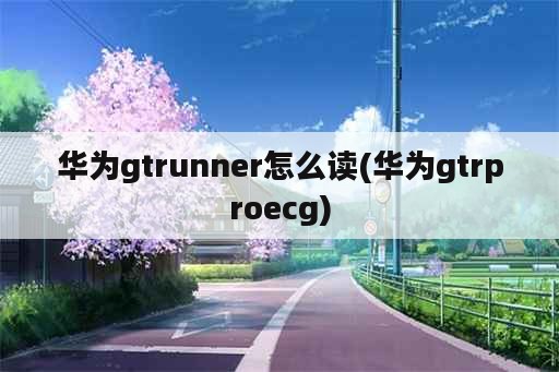 华为gtrunner怎么读(华为gtrproecg)