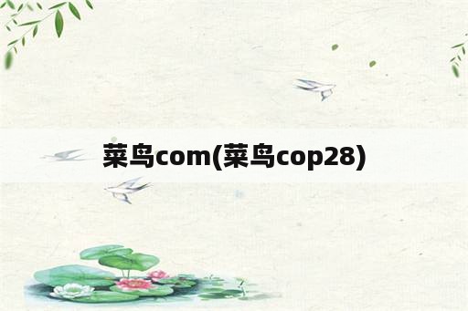 菜鸟com(菜鸟cop28)