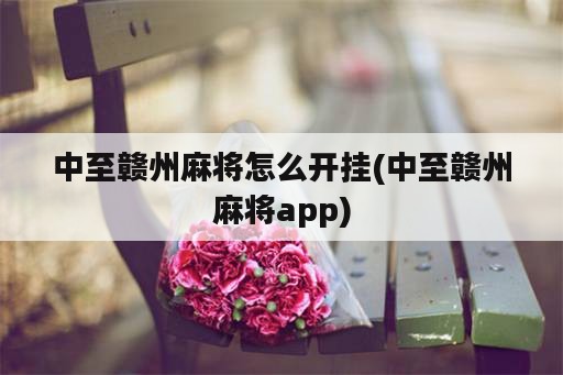 中至赣州麻将怎么开挂(中至赣州麻将app)