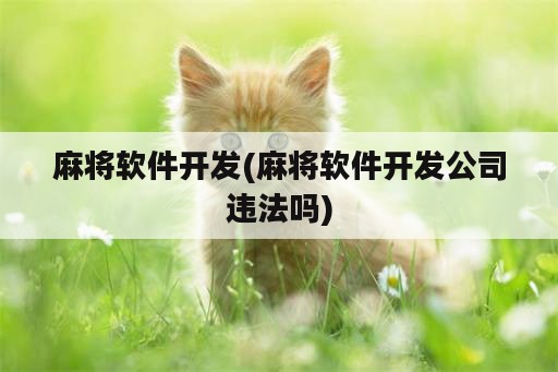 麻将软件开发(麻将软件开发公司违法吗)