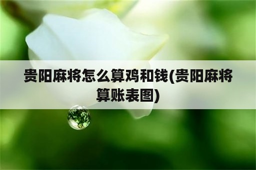 贵阳麻将怎么算鸡和钱(贵阳麻将算账表图)