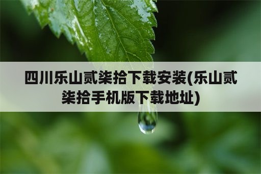 四川乐山贰柒拾下载安装(乐山贰柒拾手机版下载地址)