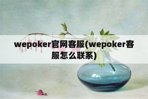 wepoker官网客服(wepoker客服怎么联系)