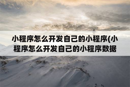 小程序怎么开发自己的小程序(小程序怎么开发自己的小程序数据库)