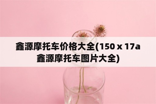 鑫源摩托车价格大全(150ⅹ17a鑫源摩托车图片大全)