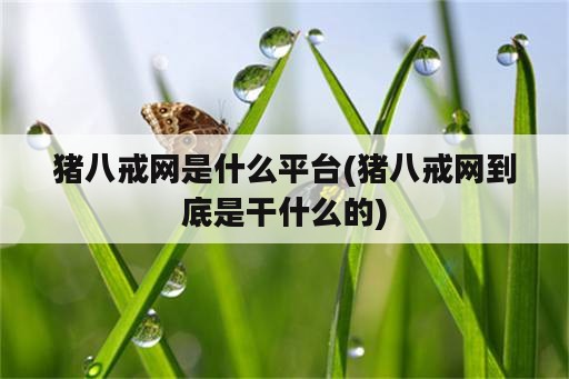 猪八戒网是什么平台(猪八戒网到底是干什么的)