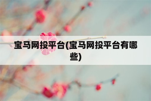 宝马网投平台(宝马网投平台有哪些)