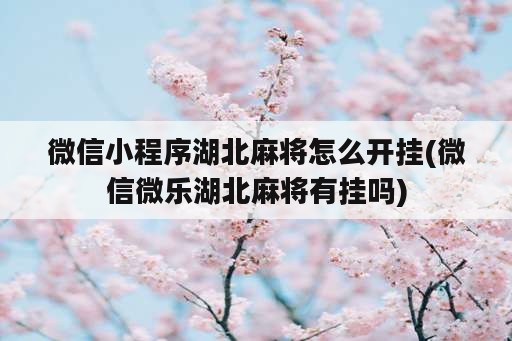 微信小程序湖北麻将怎么开挂(微信微乐湖北麻将有挂吗)