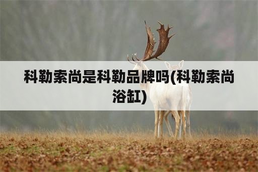 科勒索尚是科勒品牌吗(科勒索尚浴缸)