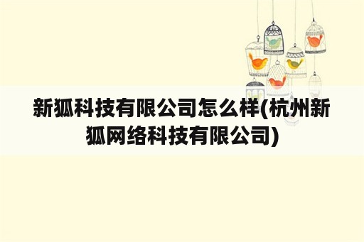 新狐科技有限公司怎么样(杭州新狐网络科技有限公司)