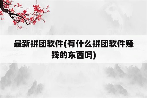 最新拼团软件(有什么拼团软件赚钱的东西吗)