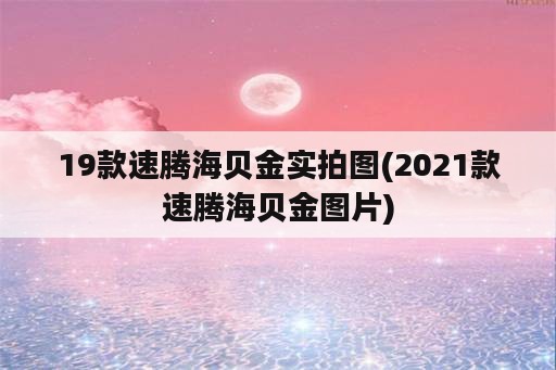 19款速腾海贝金实拍图(2021款速腾海贝金图片)