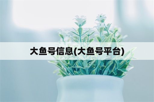 大鱼号信息(大鱼号平台)