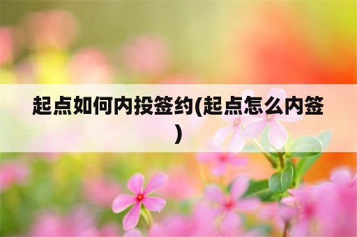 起点如何内投签约(起点怎么内签)