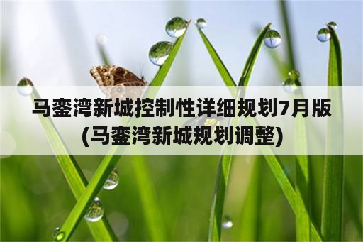 马銮湾新城控制性详细规划7月版(马銮湾新城规划调整)