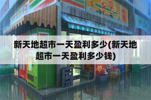 新天地超市一天盈利多少(新天地超市一天盈利多少钱)