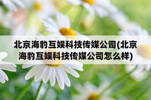 北京海豹互娱科技传媒公司(北京海豹互娱科技传媒公司怎么样)