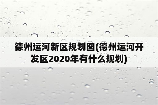 德州运河新区规划图(德州运河开发区2020年有什么规划)