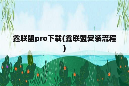 鑫联盟pro下载(鑫联盟安装流程)