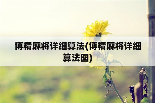 博精麻将详细算法(博精麻将详细算法图)