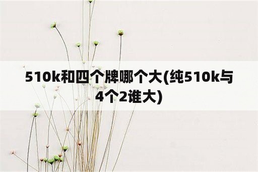 510k和四个牌哪个大(纯510k与4个2谁大)