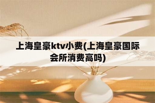 上海皇豪ktv小费(上海皇豪国际会所消费高吗)