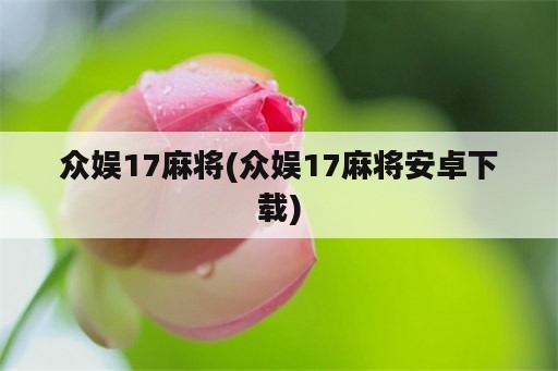 众娱17麻将(众娱17麻将安卓下载)