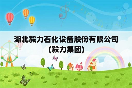 湖北毅力石化设备股份有限公司(毅力集团)