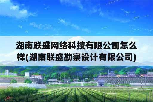 湖南联盛网络科技有限公司怎么样(湖南联盛勘察设计有限公司)