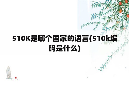 510K是哪个国家的语言(510k编码是什么)