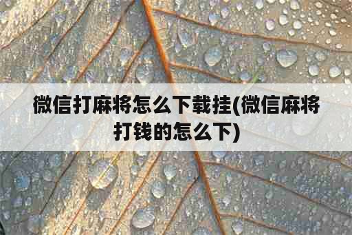 微信打麻将怎么下载挂(微信麻将打钱的怎么下)