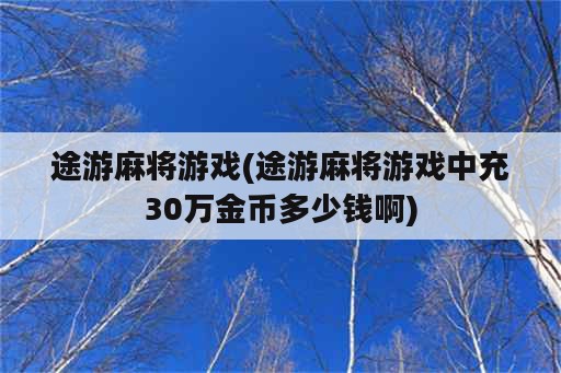 途游麻将游戏(途游麻将游戏中充30万金币多少钱啊)