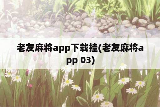 老友麻将app下载挂(老友麻将app 03)