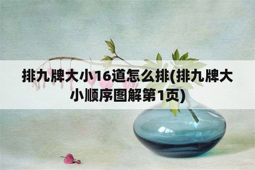 排九牌大小16道怎么排(排九牌大小顺序图解第1页)