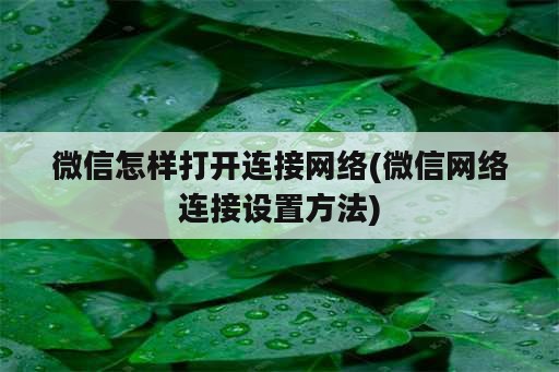 微信怎样打开连接网络(微信网络连接设置方法)