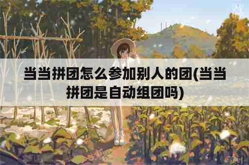 当当拼团怎么参加别人的团(当当拼团是自动组团吗)