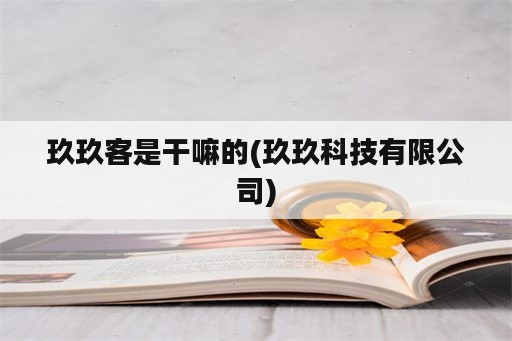 玖玖客是干嘛的(玖玖科技有限公司)