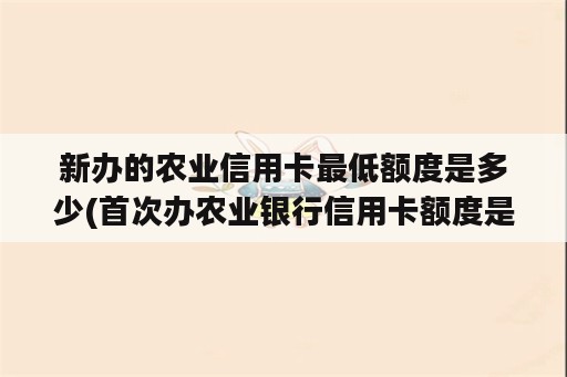 新办的农业信用卡最低额度是多少(首次办农业银行信用卡额度是多少)