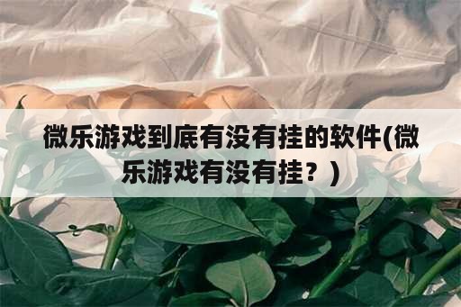 微乐游戏到底有没有挂的软件(微乐游戏有没有挂？)