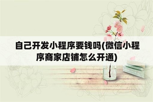 自己开发小程序要钱吗(微信小程序商家店铺怎么开通)